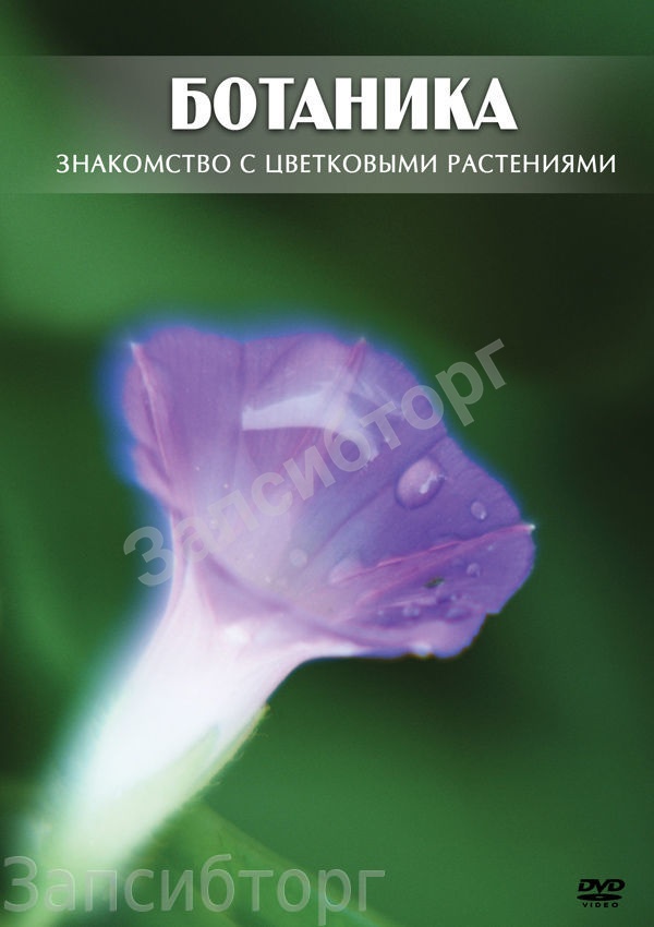 DVD-диск «Биология. Ботаника. Знакомство с цветковыми растениями»