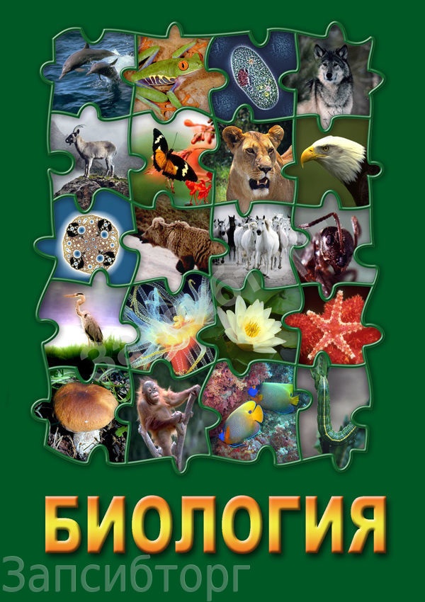 DVD-диск «Биология, часть 1»