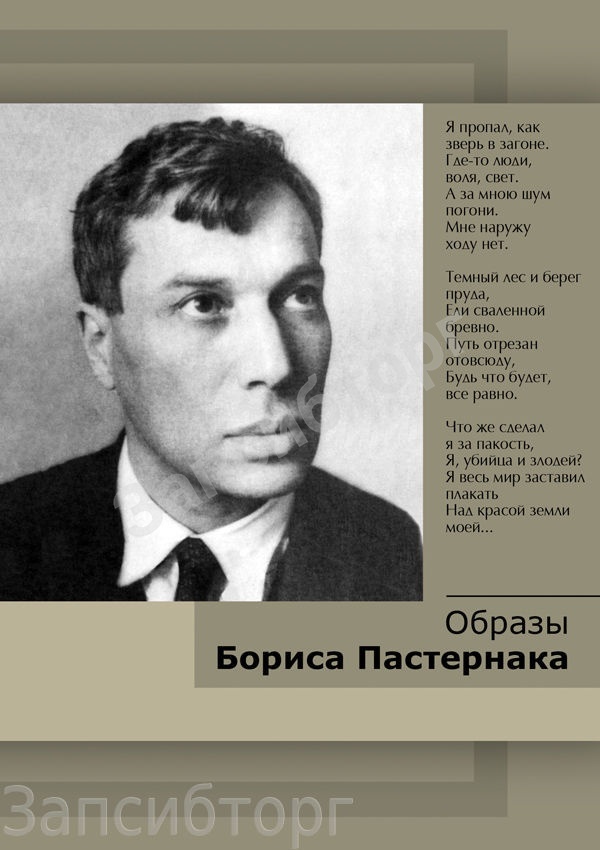DVD-диск «Литература. Образы Бориса Пастернака»