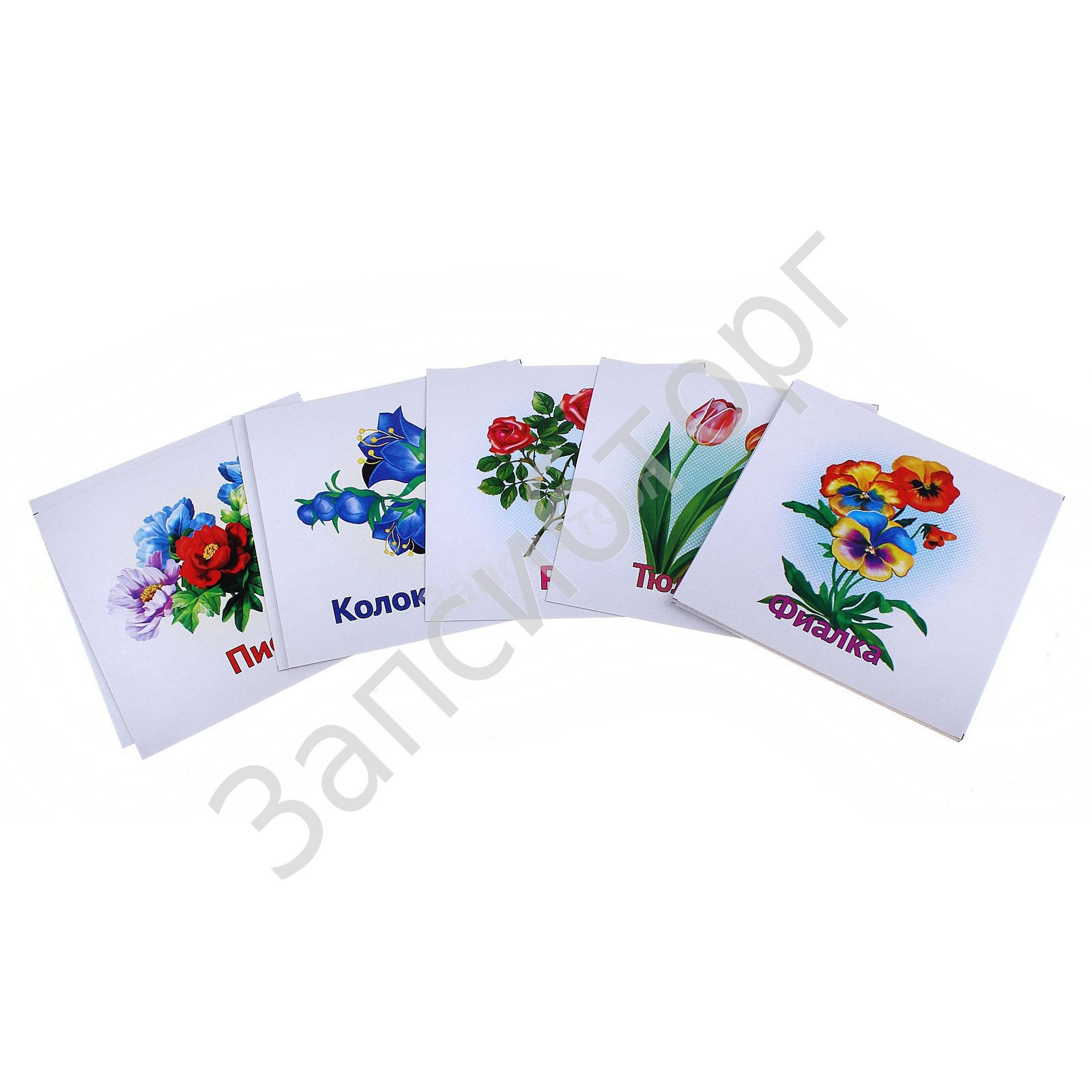Развивающие карточки для малышей «Цветы»