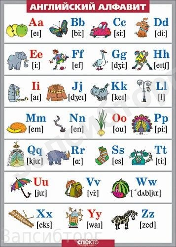 Таблица «Английский язык. Английский алфавит в картинках»