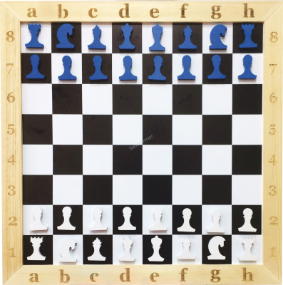 шахматы (1)