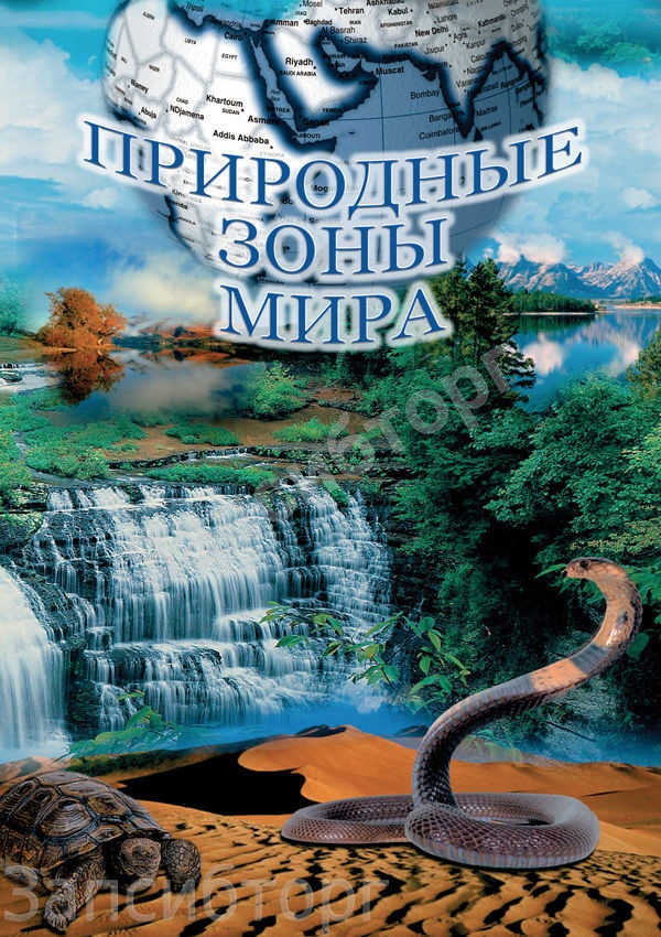DVD-диск «География. Природные зоны мира»